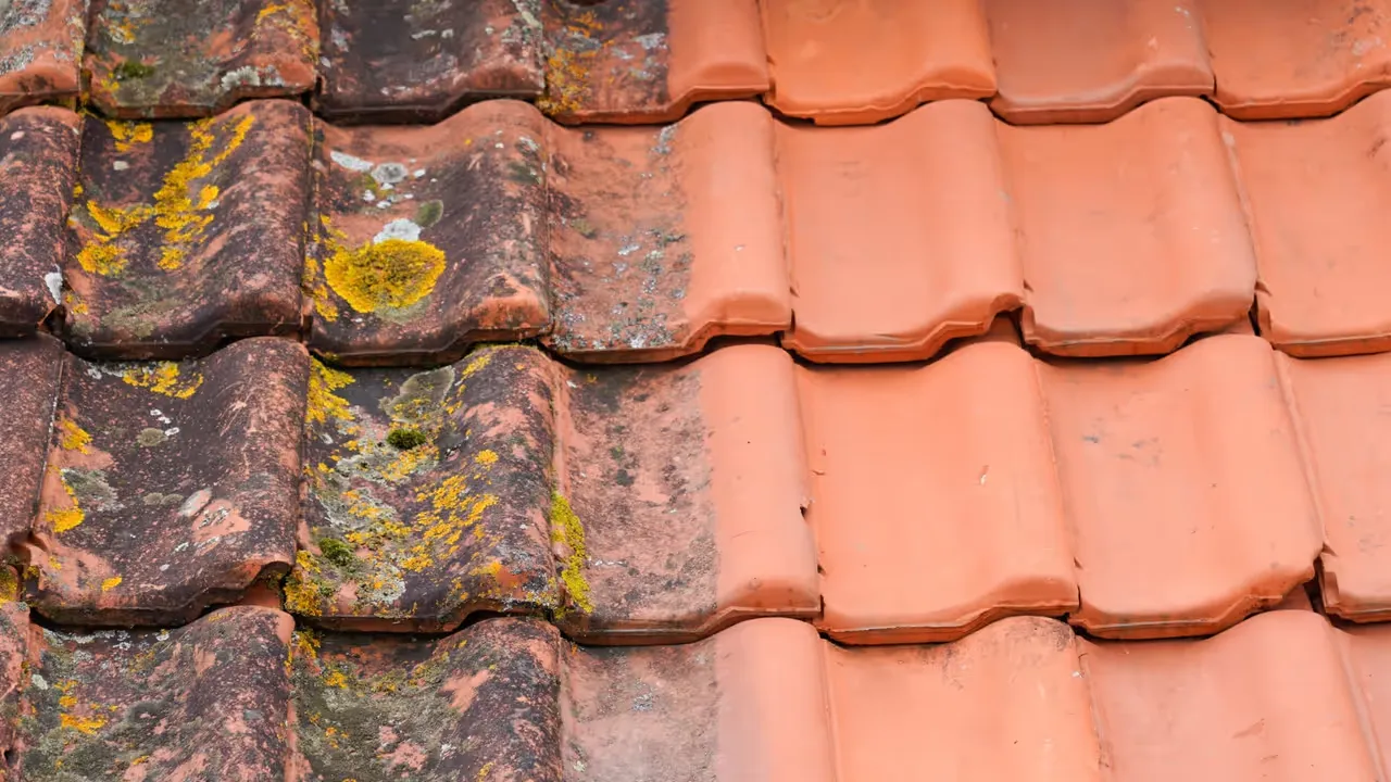 Takets betydelse för ditt hem